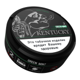 Жевательный табак KENTUCKY Green mint 2 15 гр